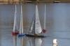 2IRYC 2024_02_24 0028